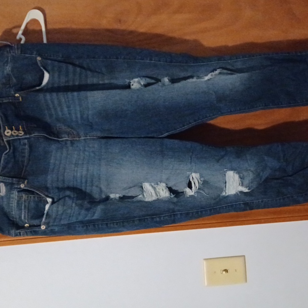 Torrid Jeans